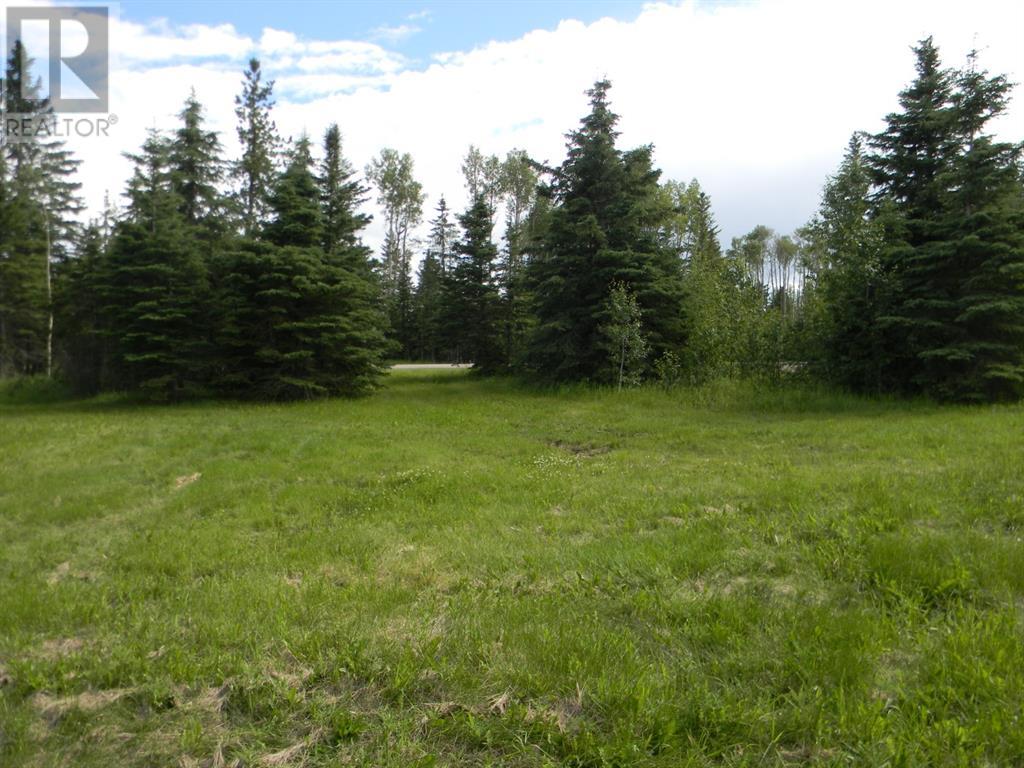 120 Meadow Ponds  Drive, Rural Clearwater County, Alberta  T4T 1A7 - Photo 5 - A1021107