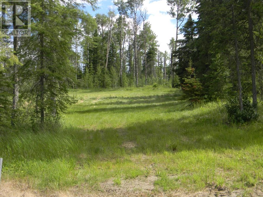 127 Meadow Ponds  Drive, Rural Clearwater County, Alberta  T4T 1A7 - Photo 3 - A1021050