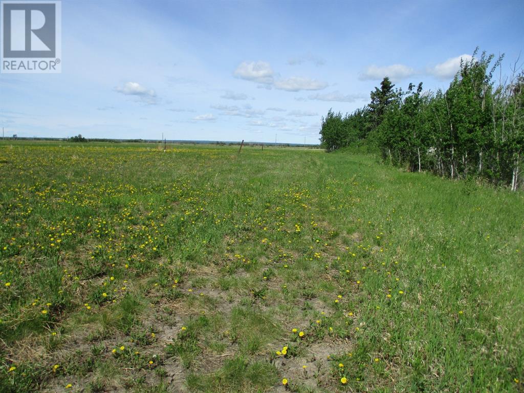 15231004 Twp Rd 920, County Of, Alberta  T0H 2M0 - Photo 4 - A1115652