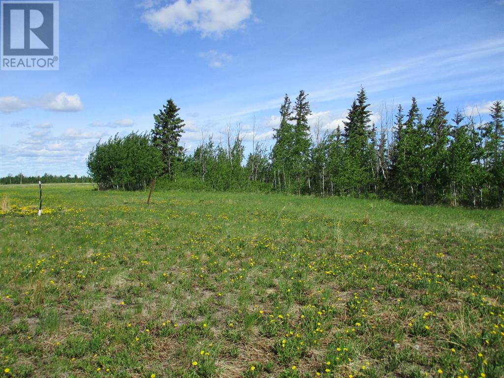 15231004 Twp Rd 920, County Of, Alberta  T0H 2M0 - Photo 6 - A1115652